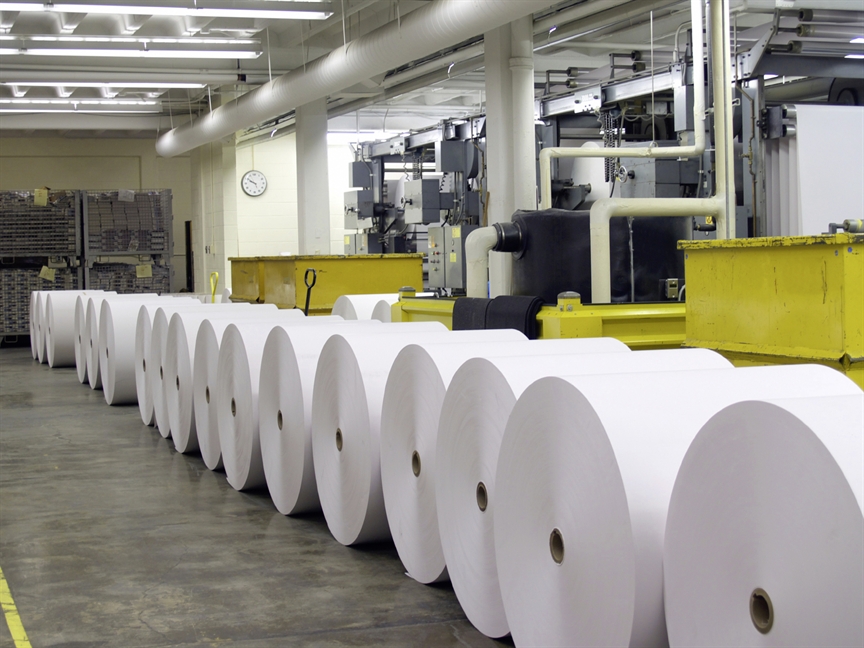 Celulosa y Papel