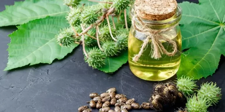 aceite de ricino