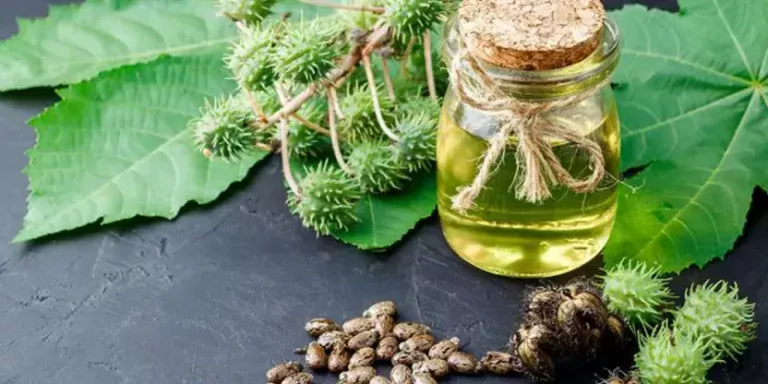 aceite de ricino